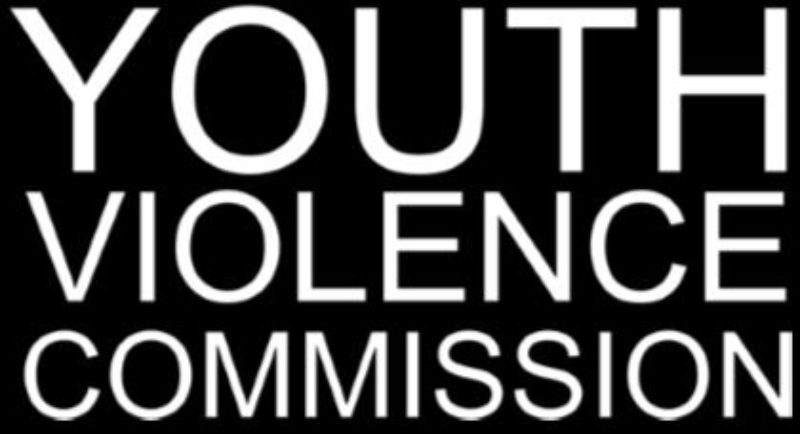 Youth Violence Commission