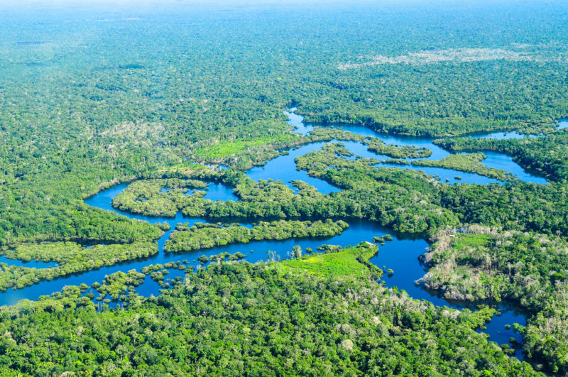 Aerial photo of meandering river surrounded by forest.