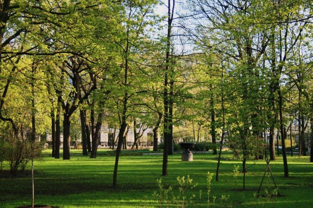 A green park with trees.