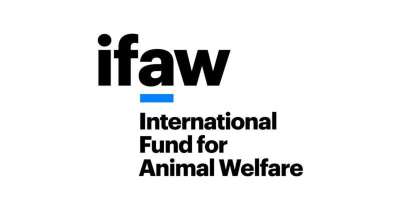 International Fund for Animal Welfare logo