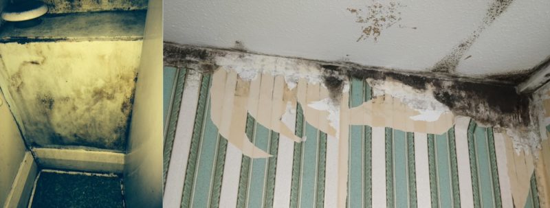 Images of black mould in homes as a result of damp living conditions.